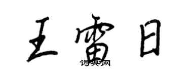 王正良王雷日行書個性簽名怎么寫
