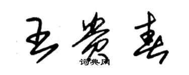 朱錫榮王貴春草書個性簽名怎么寫