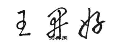 駱恆光王開好草書個性簽名怎么寫