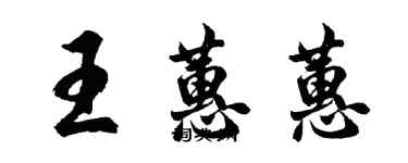 胡問遂王蕙蕙行書個性簽名怎么寫