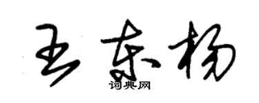朱錫榮王東楊草書個性簽名怎么寫