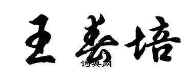 胡問遂王春培行書個性簽名怎么寫