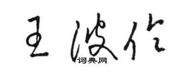 駱恆光王波伶草書個性簽名怎么寫