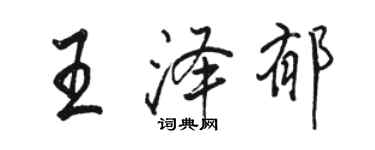 駱恆光王澤郁行書個性簽名怎么寫