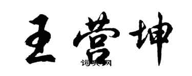 胡問遂王營坤行書個性簽名怎么寫