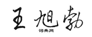 駱恆光王旭勃行書個性簽名怎么寫