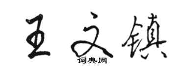 駱恆光王文鎮行書個性簽名怎么寫