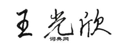 駱恆光王光欣行書個性簽名怎么寫