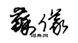 朱錫榮蘇儀草書個性簽名怎么寫