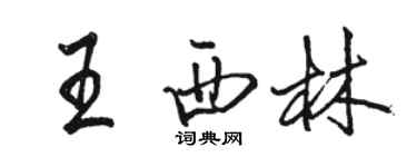 駱恆光王西林行書個性簽名怎么寫