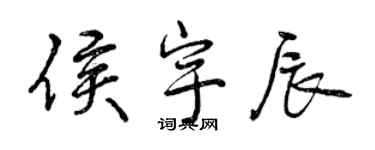 曾慶福侯宇辰行書個性簽名怎么寫