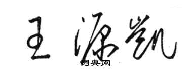 駱恆光王源凱草書個性簽名怎么寫