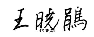 王正良王曉鵑行書個性簽名怎么寫