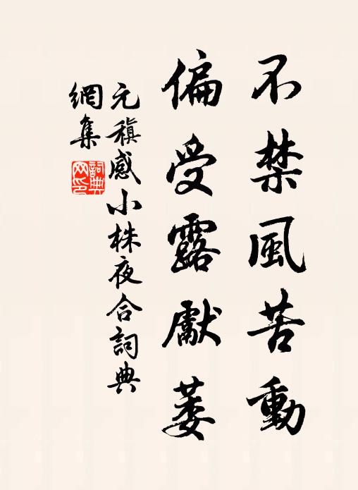 但見索酒郎，不見酒家胡 詩詞名句