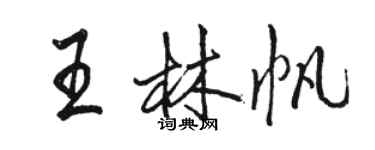 駱恆光王林帆行書個性簽名怎么寫