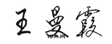 駱恆光王曼霞行書個性簽名怎么寫