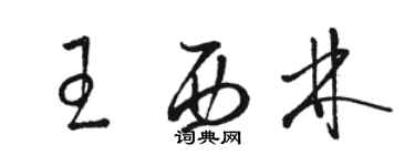 駱恆光王西林草書個性簽名怎么寫