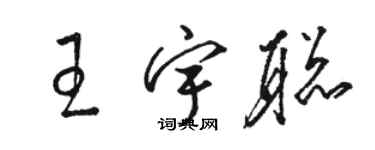 駱恆光王宇聰草書個性簽名怎么寫