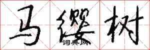 錢沛雲馬纓樹行書怎么寫