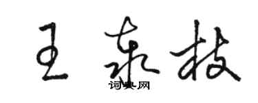 駱恆光王泰枝草書個性簽名怎么寫