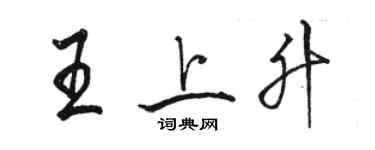 駱恆光王上升行書個性簽名怎么寫