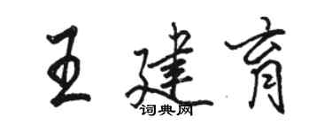駱恆光王建育行書個性簽名怎么寫