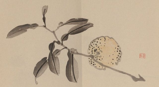 【PDF高清】日本今尾景年《景年習畫帖》下載_353M