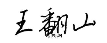 王正良王翻山行書個性簽名怎么寫