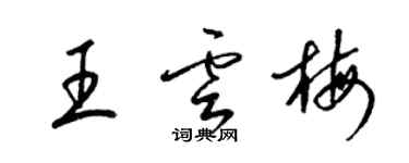 梁錦英王雲梅草書個性簽名怎么寫