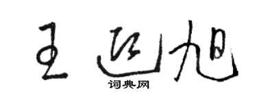 駱恆光王迎旭草書個性簽名怎么寫