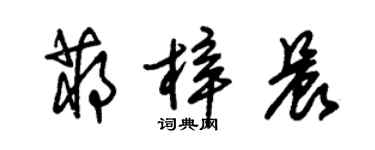 朱錫榮蔣梓晨草書個性簽名怎么寫