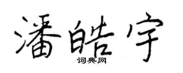 王正良潘皓宇行書個性簽名怎么寫