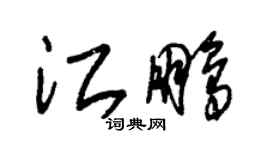 朱錫榮江鵬草書個性簽名怎么寫