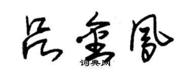 朱錫榮呂金鳳草書個性簽名怎么寫