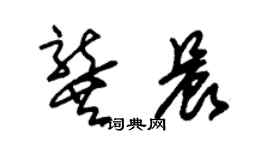 朱錫榮龔晨草書個性簽名怎么寫