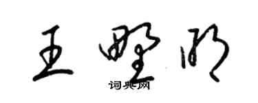 梁錦英王野明草書個性簽名怎么寫