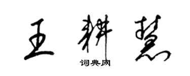 梁錦英王耕慧草書個性簽名怎么寫