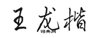 駱恆光王龍楷行書個性簽名怎么寫