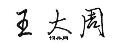 駱恆光王大周行書個性簽名怎么寫