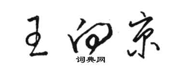 駱恆光王向京草書個性簽名怎么寫