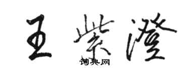 駱恆光王紫澄行書個性簽名怎么寫