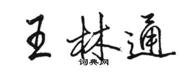 駱恆光王林通行書個性簽名怎么寫