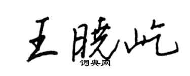 王正良王曉屹行書個性簽名怎么寫