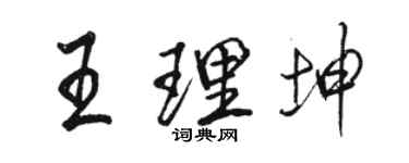 駱恆光王理坤行書個性簽名怎么寫