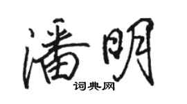 駱恆光潘明行書個性簽名怎么寫