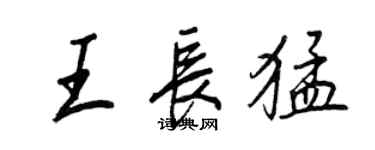 王正良王長猛行書個性簽名怎么寫