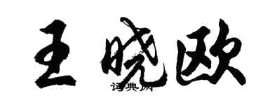 胡問遂王曉歐行書個性簽名怎么寫
