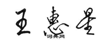 駱恆光王惠星行書個性簽名怎么寫