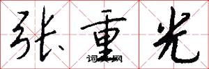 張重光怎么寫好看