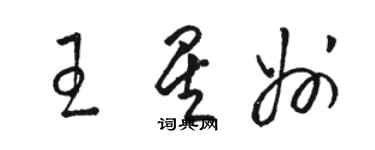 駱恆光王星州草書個性簽名怎么寫